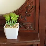 House 3* Авейру