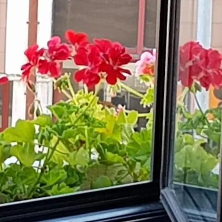 House Vendégház Aveiro