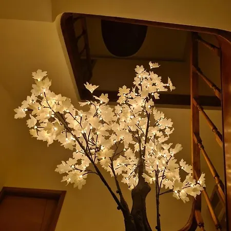 Vendégház House Aveiro