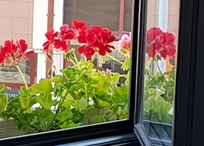 House Guest house Aveiro