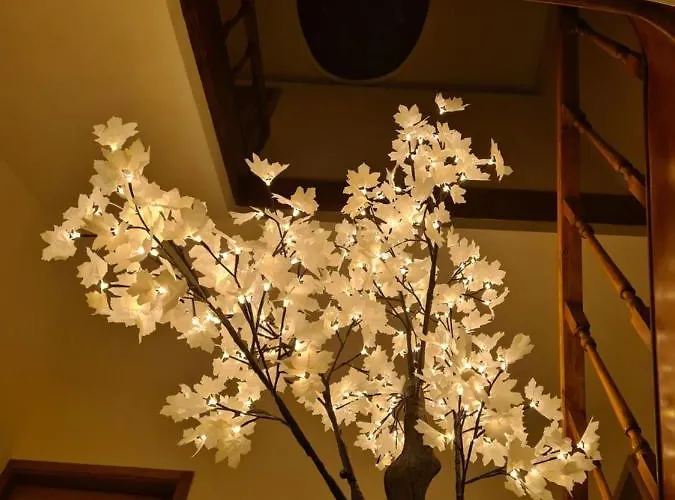 Guest house House Aveiro